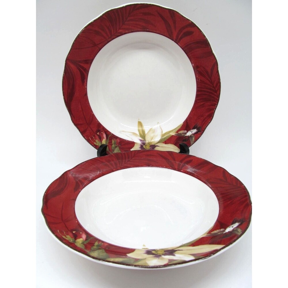 222 Fifth Belize Fine Porcelain Set Of 2 Floral 9 1/8" Soup Bowl READ